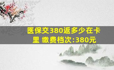 医保交380返多少在卡里 缴费档次:380元